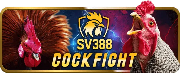 Dragon Tiger Trực Tuyến WIM55